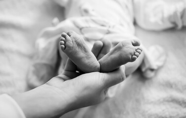 Amazing legs of a newborn baby in the mother's arms. Black and white photo