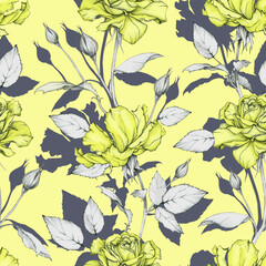 Fototapeta na wymiar Floral background with beautiful yellow rosses. Seamless botanical pattern. Hand drawing.