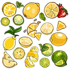 Collection of citrus, lemons and limes, colorful illustrations of fruits, yellow and green color, isolated, for custom design and print.