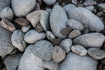 Texture of curving field stones