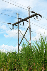 Low-angle detail abstract view of electric power line posts placed in a sugar cane field against the blue sky, Philippines, Asia