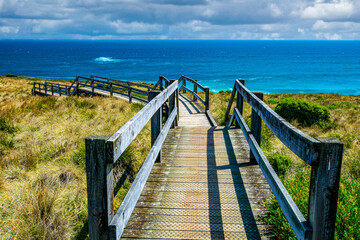 Obraz premium Wooden hiking path, Ventnor Beach, Victoria, Australia