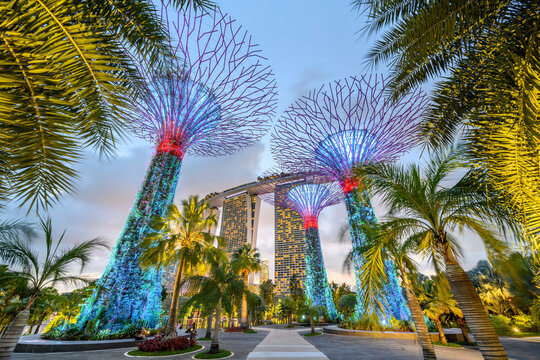 Gardens by the Bay with the Super Trees at night, in the background the Marina Bay Sands hotel, Singapore