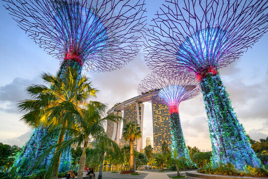 Gardens by the Bay with the Super Trees at night, in the background the Marina Bay Sands hotel, Singapore
