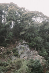 松尾大社の風景