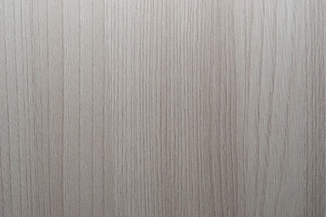 Fototapeta premium The surface texture hardwood white oak light colors for the furniture prodlennost