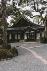 Fototapeta premium 松尾大社の風景