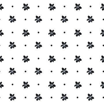 Pattern black and white flowers, asphodel