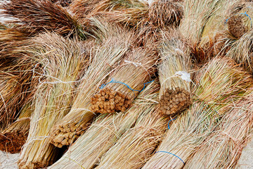 Close-up detail view of bundles of cut cogon grass, used as roofing materials in the Philippines, Asia