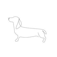 Dog on white background, one line drawing vector illustration