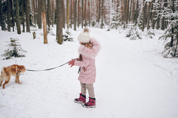 Happy family weekend - little cute girl in pink warm outwear walking having fun with red shiba inu dog in snowy white cold winter forest outdoors. Kids sport vacation activities concept.