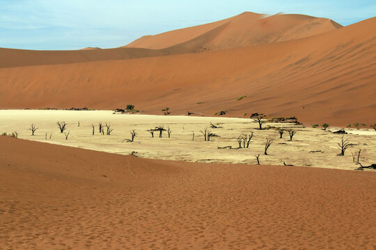 Clear blue sky with Sossusvlei red dunes and dead vlei