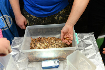 Children play a dynamic game from the TV show