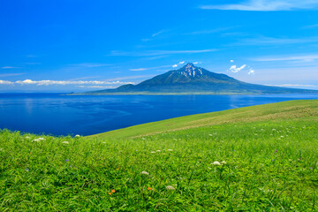 Fototapeta premium 礼文島 利尻富士を望む