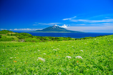 礼文島から望む利尻富士
