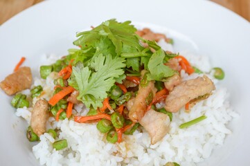 pork and vegetable fried on hot rice - Thailand healthy food