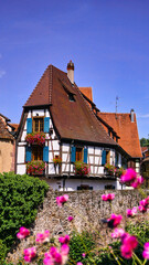 Fototapeta na wymiar altes Bachwerkhaus, Blumen im Vordergrund