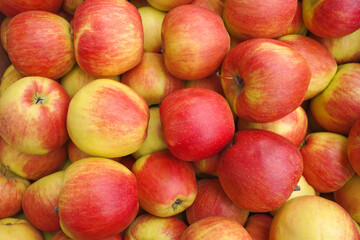 background of ripe red apples. 