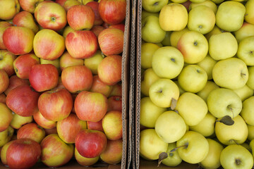 two varieties of apples in separate cardboard boxes. top view.