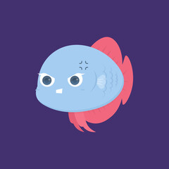 vector character of blue and red betta fish. an angry and irritated expression of a betta fish. fish are funny, cute, and adorable. flat style. design elements. can be used for mascot logo and sticker
