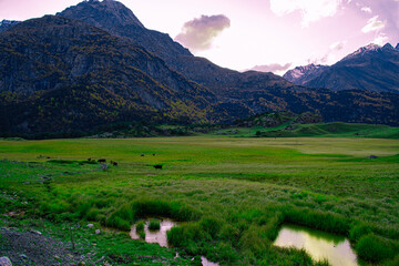 Beautiful scenery with mountains and animals