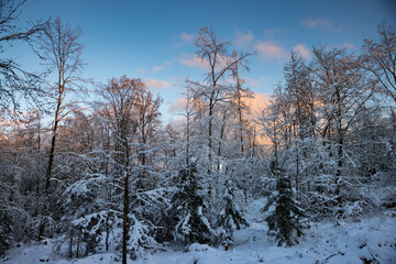 Winter Wonderland in Germany with snow