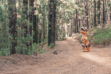 one t-rex costume discovering the earth and walking in the road of a forest or mountain looking for something © Daniel