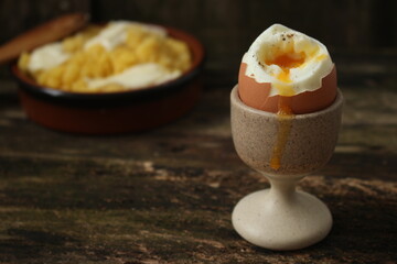 boiled egg in a cup