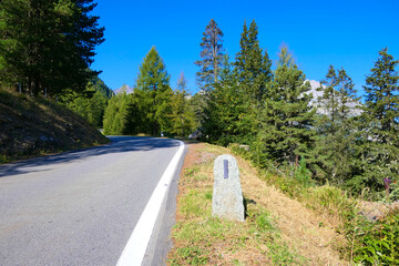 Picturesque winding route through fir forests and mountain valleys, with road posts