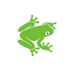 Frog logo. Abstract frog on white background