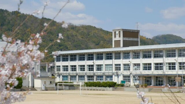 学校と桜の花　春イメージ　入学式　新学期