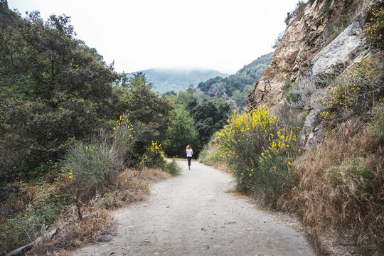 Jogger in the Angeles National Forest, California