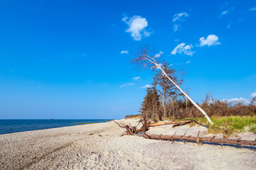 Strand an der Küste der Ostsee bei Graal Müritz