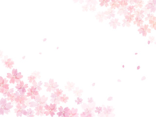桜の背景