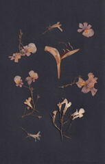 little dried flowers in a composition on a black background