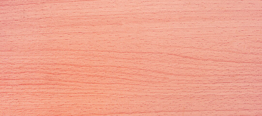 Fototapeta premium Panorama cream wood floor used to made backgrounds for your designs to be good and beautiful. Natural materials with unique patterns and versatility. High quality and easy conveniently for your work.