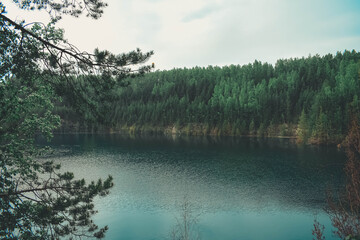 lake in the forest