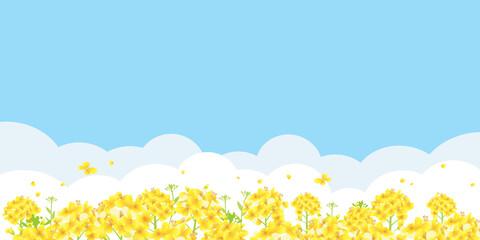 青空と菜の花のバナーセット 無地 サンプル文字なし Wall Mural Pp7 青空と菜の花のバナーセット 無地 サンプル文字なし Wall Mural Pp7