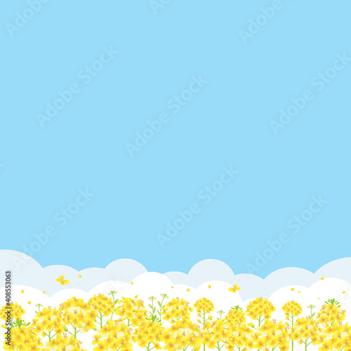 青空と菜の花畑 背景イラスト 正方形 Wall Mural Wallpaper Murals Pp7 青空と菜の花畑 背景イラスト 正方形 Wall Mural Wallpaper Murals Pp7