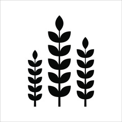 Farm wheat ears icon vector template. color editable on white background. eps 10