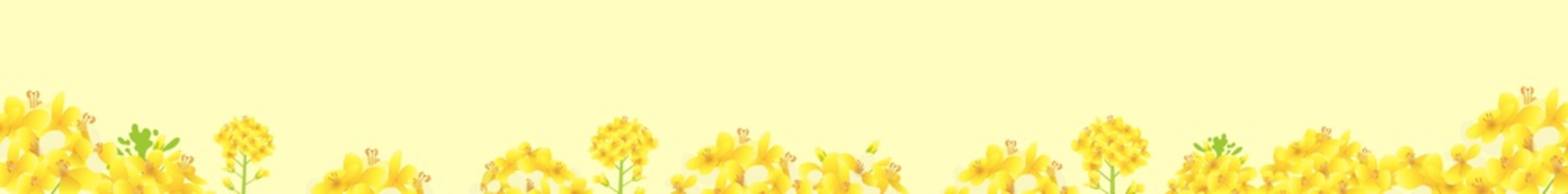菜の花、菜の花畑 WEBバナー（横長 728&times;90px webバナー比率）