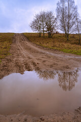 A muddy puddle and a dirt road at a moor. Picture from Revingehed, Scania county, Sweden