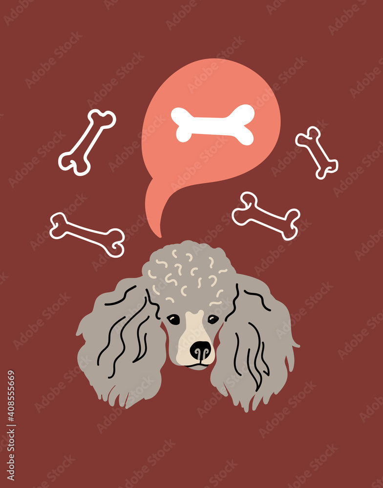 Poster Vector portrait of Poodle. Cartoon illustration with dog and bones for print, poster, sticker or card.