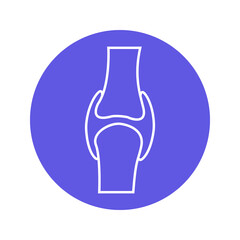 Knee joint Vector icon