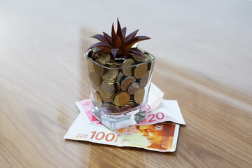 Cactus in a glass of money on a stand made of Israeli shekels banknotes