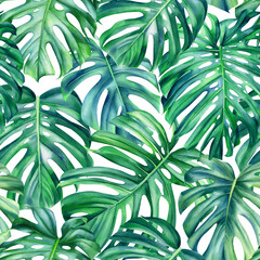 Monstera leaves on isolated background, watercolor hand painted floral illustration , seamless pattern, jungle design