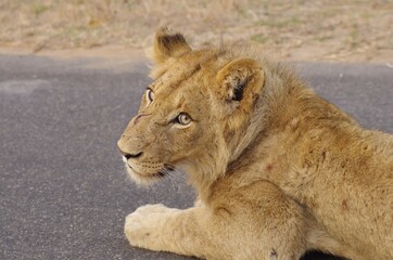 Here's looking at you