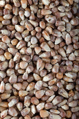 Turkish Snacks Kavurga. Food background.