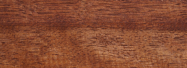 Fototapeta premium Old natural panorama wood wall texture background copy space for your design or put on wallpaper banner billboard. High quality easy conveniently for your work. Horizontal composition with top view