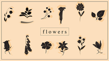 Vector illustration of decorative flowers and plants in black. EPS 10